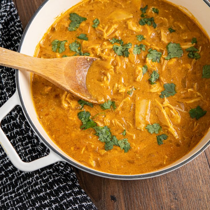 Quick Mild Chicken Curry | Slimming Eats