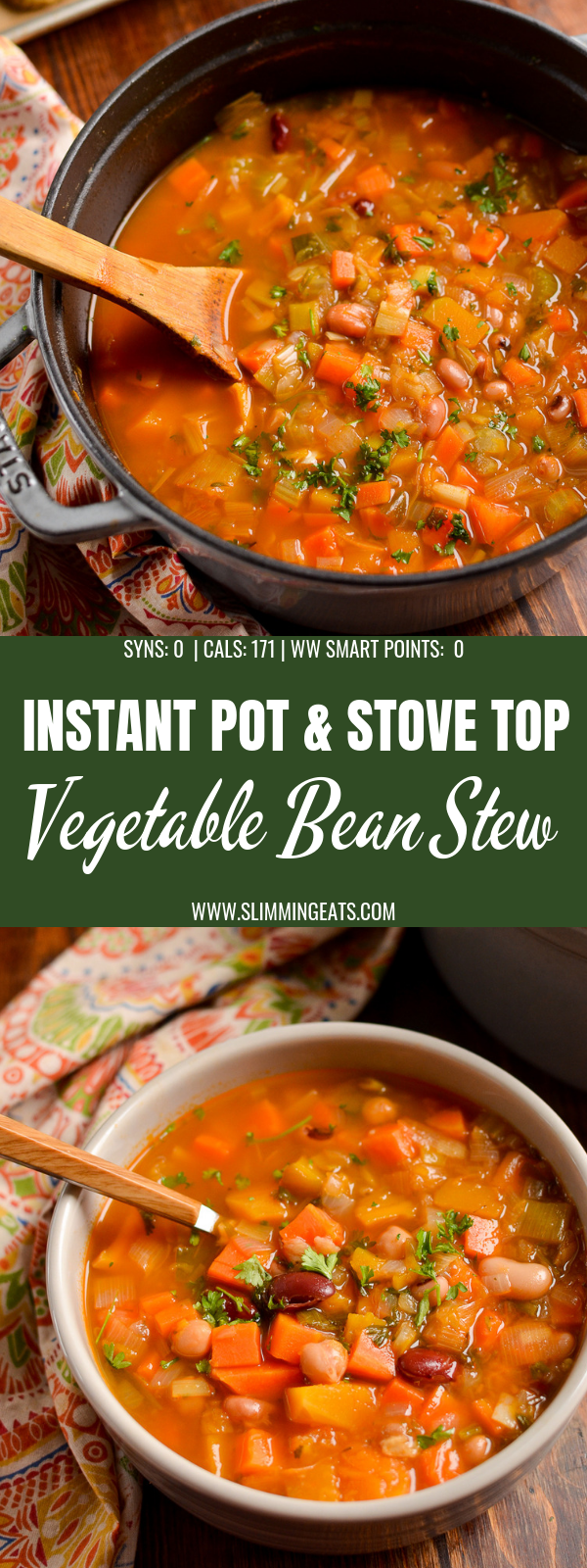 vegetable and bean stew pin image