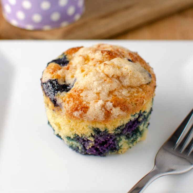 Blueberry Muffins