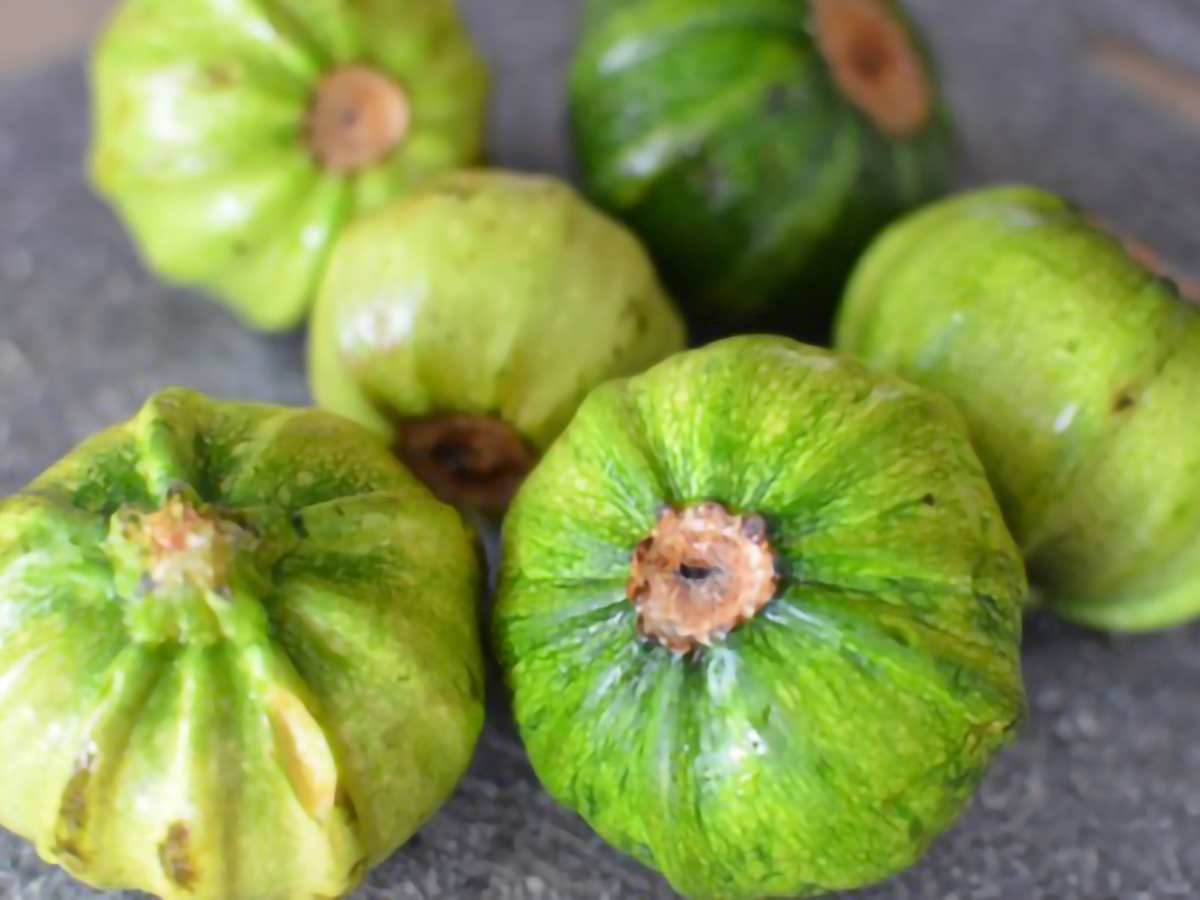 picture of Mayan Heirloom Squash