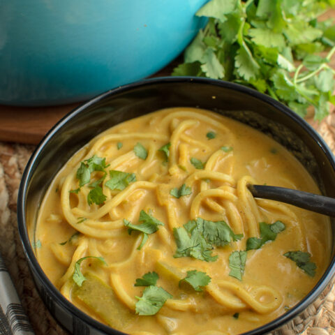 Spicy Opo Squash Soup with Noodles
