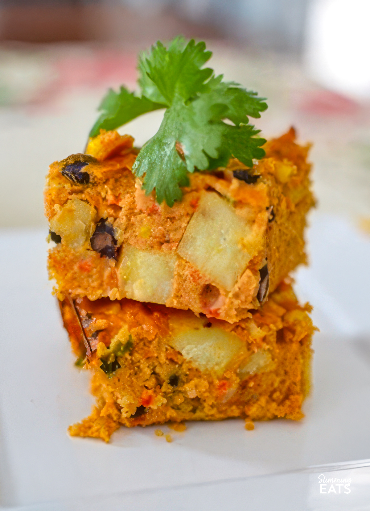 2 SLICES OF MEXICAN LENTIL BAKE ON A WHITE PLATE AND GARNISHED WITH CORIANDER