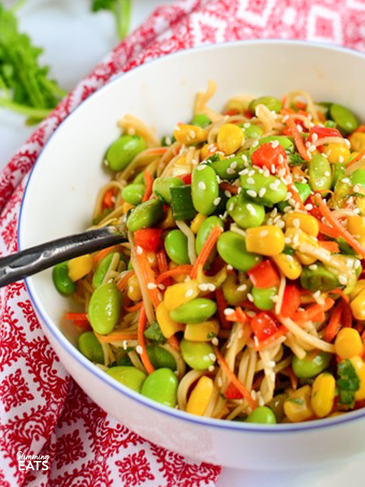Slimming Eats Edamame and Noodle Salad Bowl - dairy free, vegetarian, Slimming Eats and Weight Watchers friendly