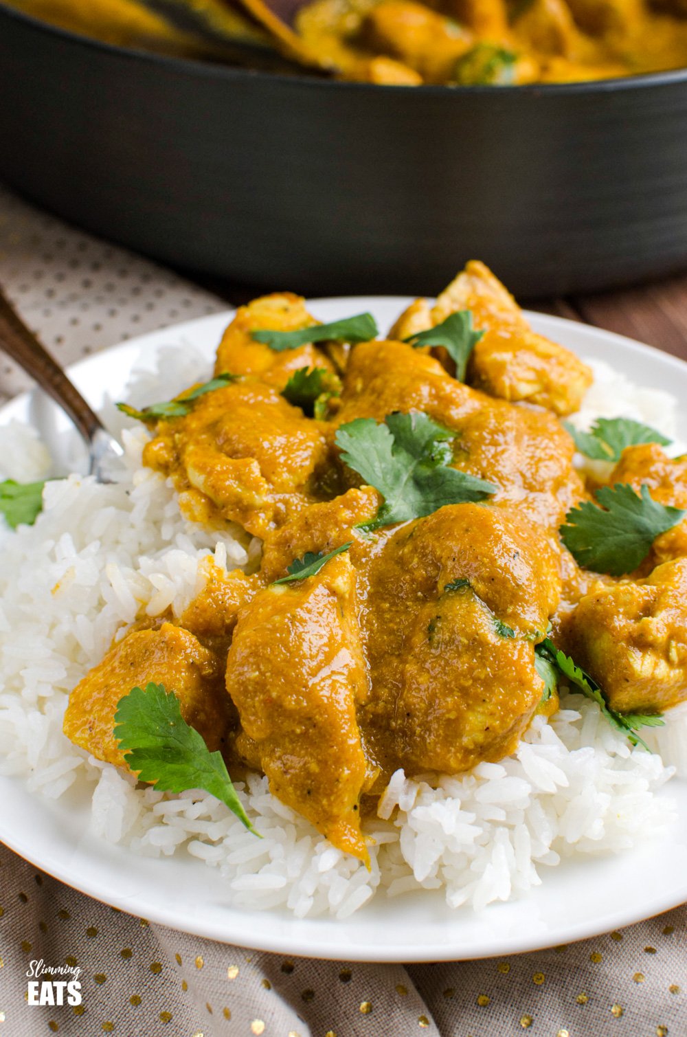 close up of serving of chicken korma over white rice on white plate with pan on korma in background