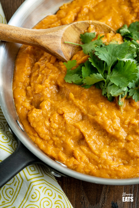 4 Ingredient Quick Lentil Curry (Instant Pot) Slimming Eats Recipes