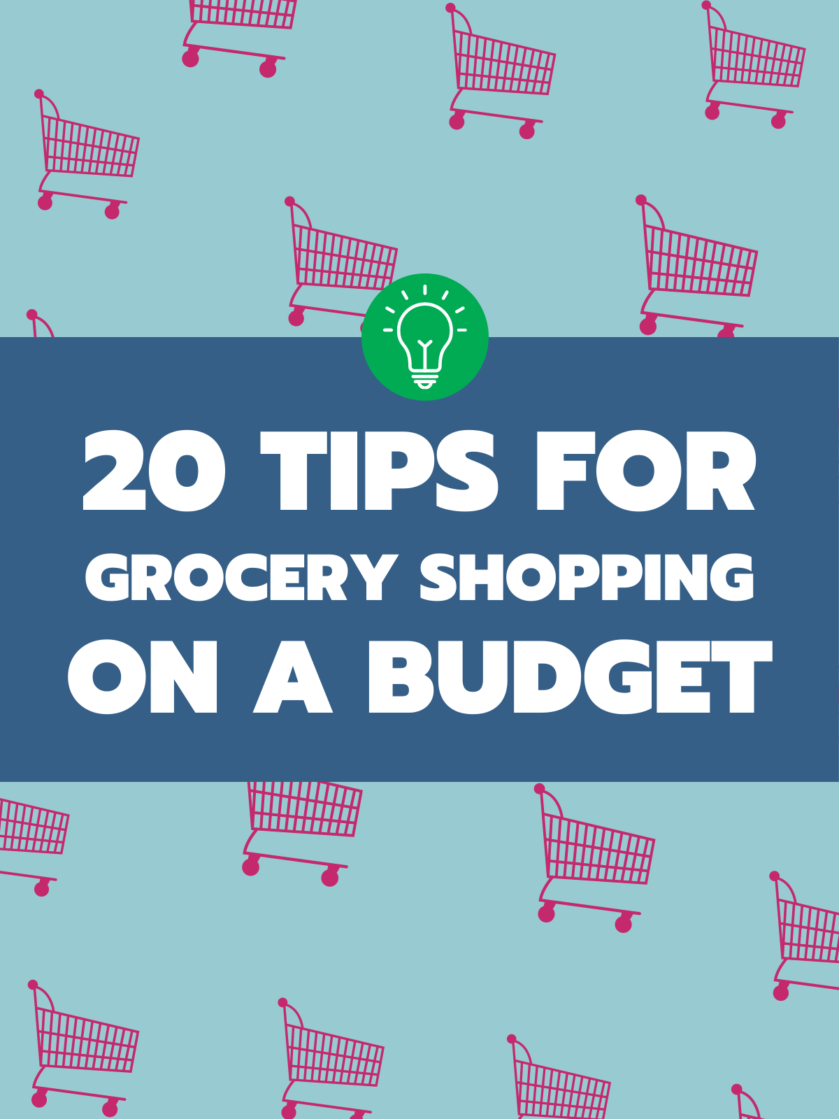 20 Tips for Shopping on a Budget text on a pale blue background with pink shopping carts and blue box for text