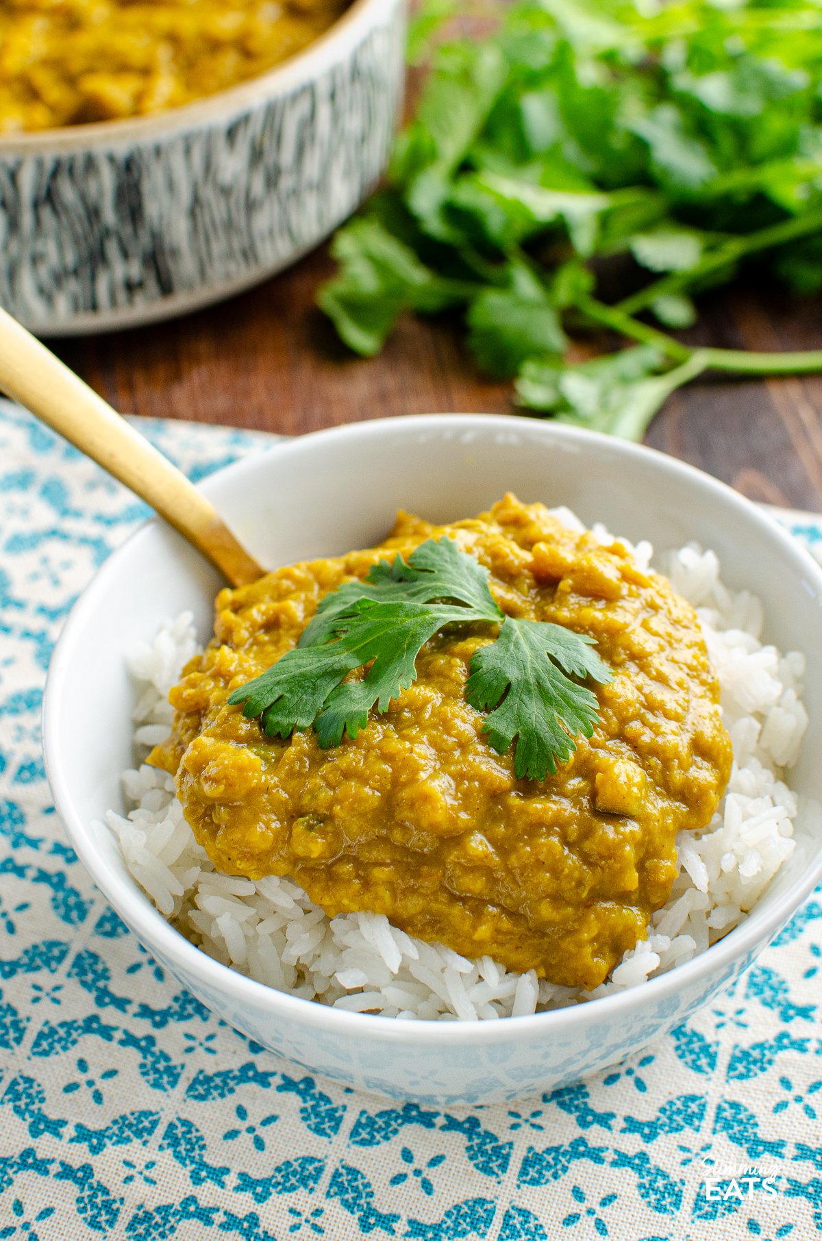 red lentil dhal in a white bowl over rice with a gold spoon, coriander and bowl of dhal in background