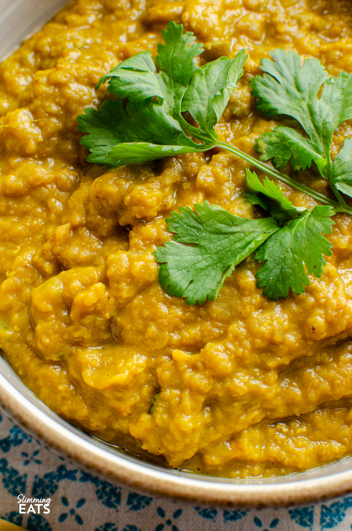 close up of red lentil dhal in a bowl topped with coriander