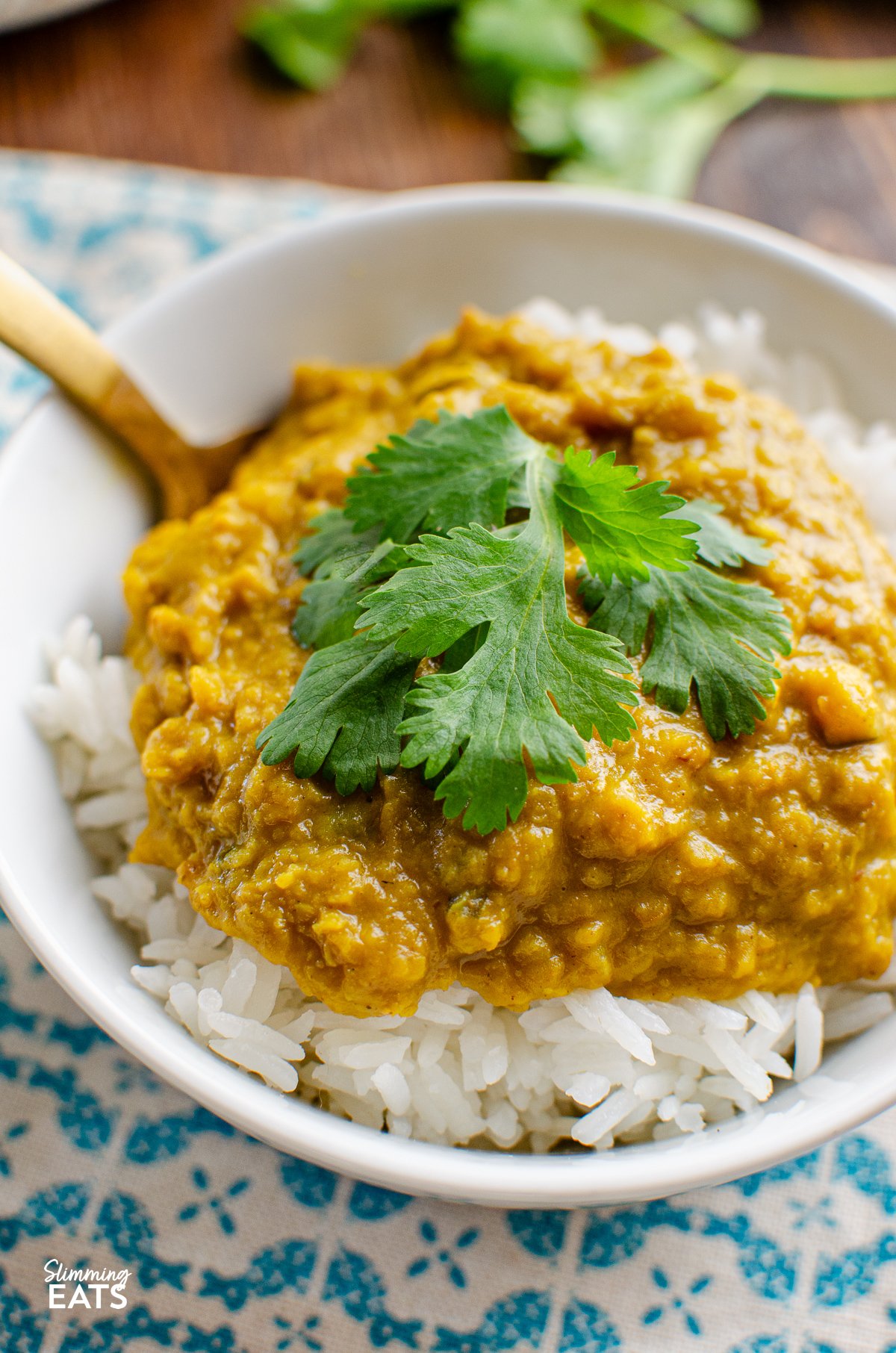 close up of dhal in a white bowl over rice with a golden spoon, topped wit coriander. 