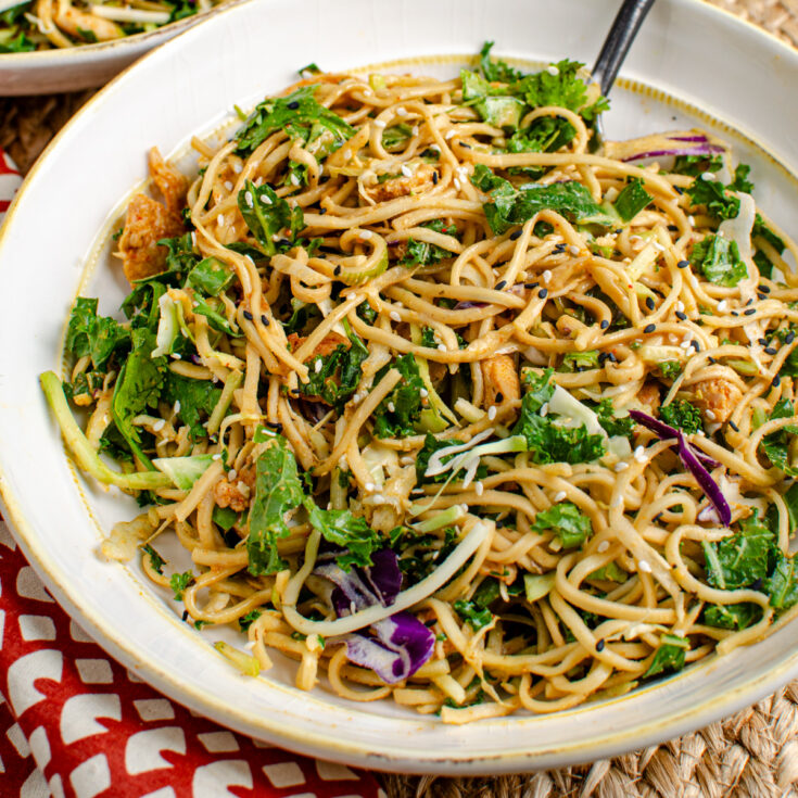 Peanut Chicken Noodle Salad Bowl