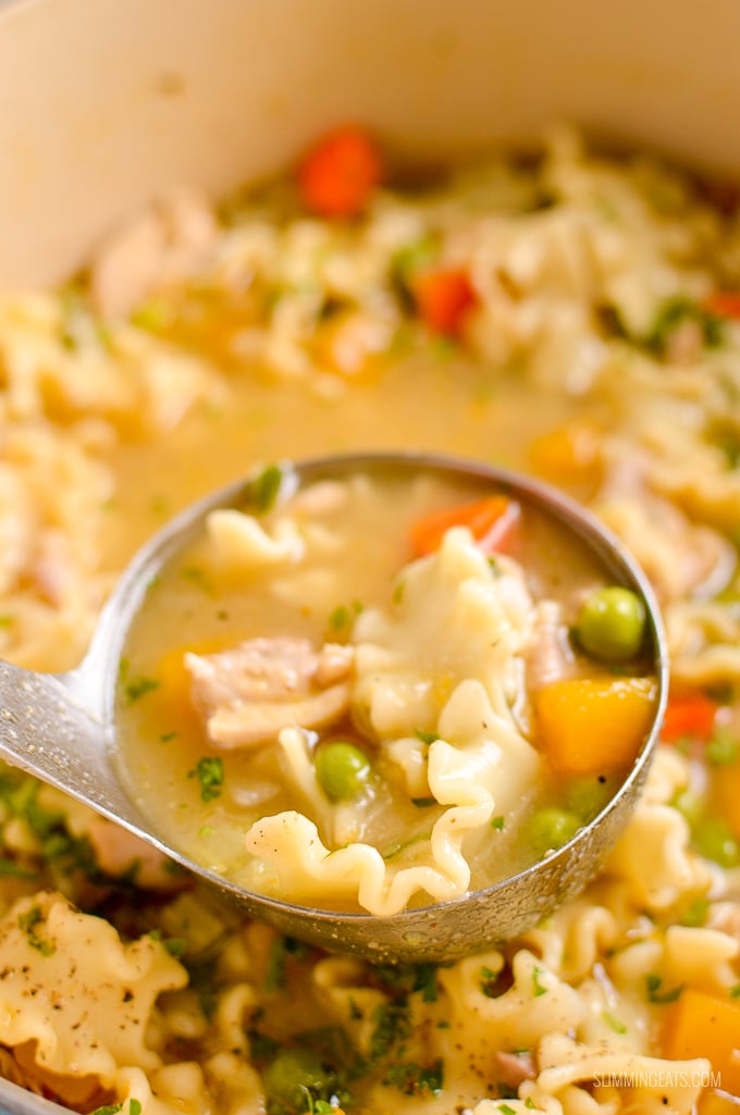 Delicious Chicken Vegetable Pasta Soup - a simple easy recipe for the whole family | dairy free, Slimming Eats and Weight Watchers friendly ladle of Chicken Vegetable Pasta Soup