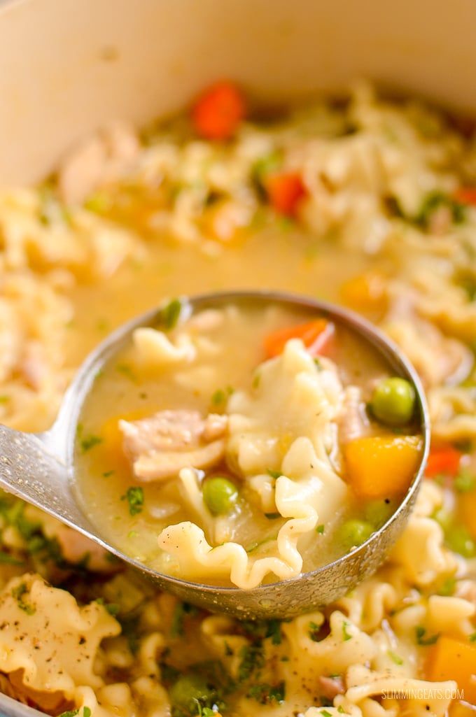 ladle of Chicken Vegetable Pasta Soup