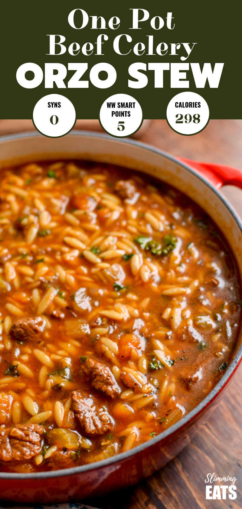 beef celery orzo stew in red dutch oven pot pin