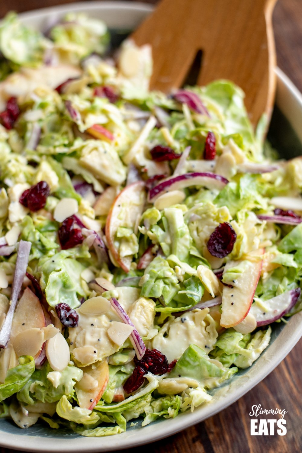 A delicious Healthy Brussels Sprouts Salad - with almond slices, crisp tart apple and sweet cranberries. Perfect on its own as a meal or as a side dish for your main Gluten Free, Vegetarian, Slimming and Weight Watchers friendly close up of Brussels sprouts salad in bowl