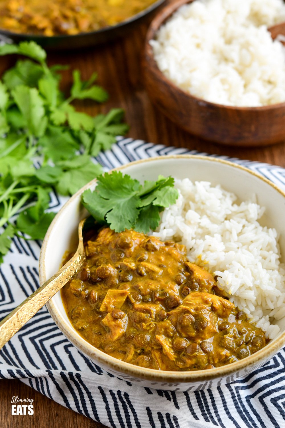 coconut chicken and lentil curry in a cream and white bowl with white rice and coriander