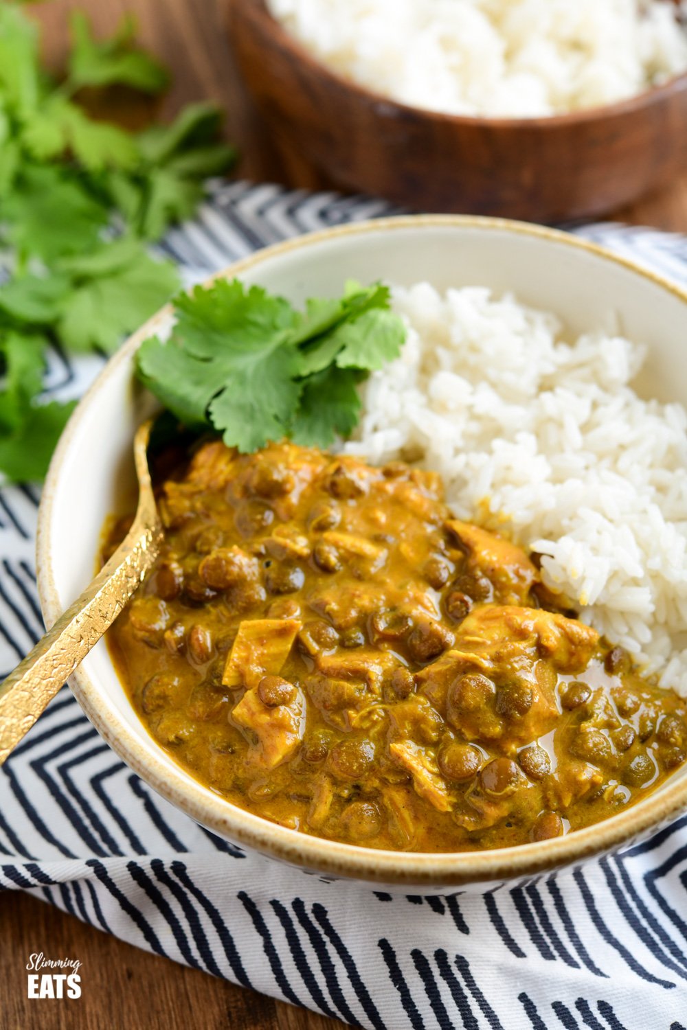 close up of coconut chicken and lentil curry in a cream and white bowl with white rice and coriander