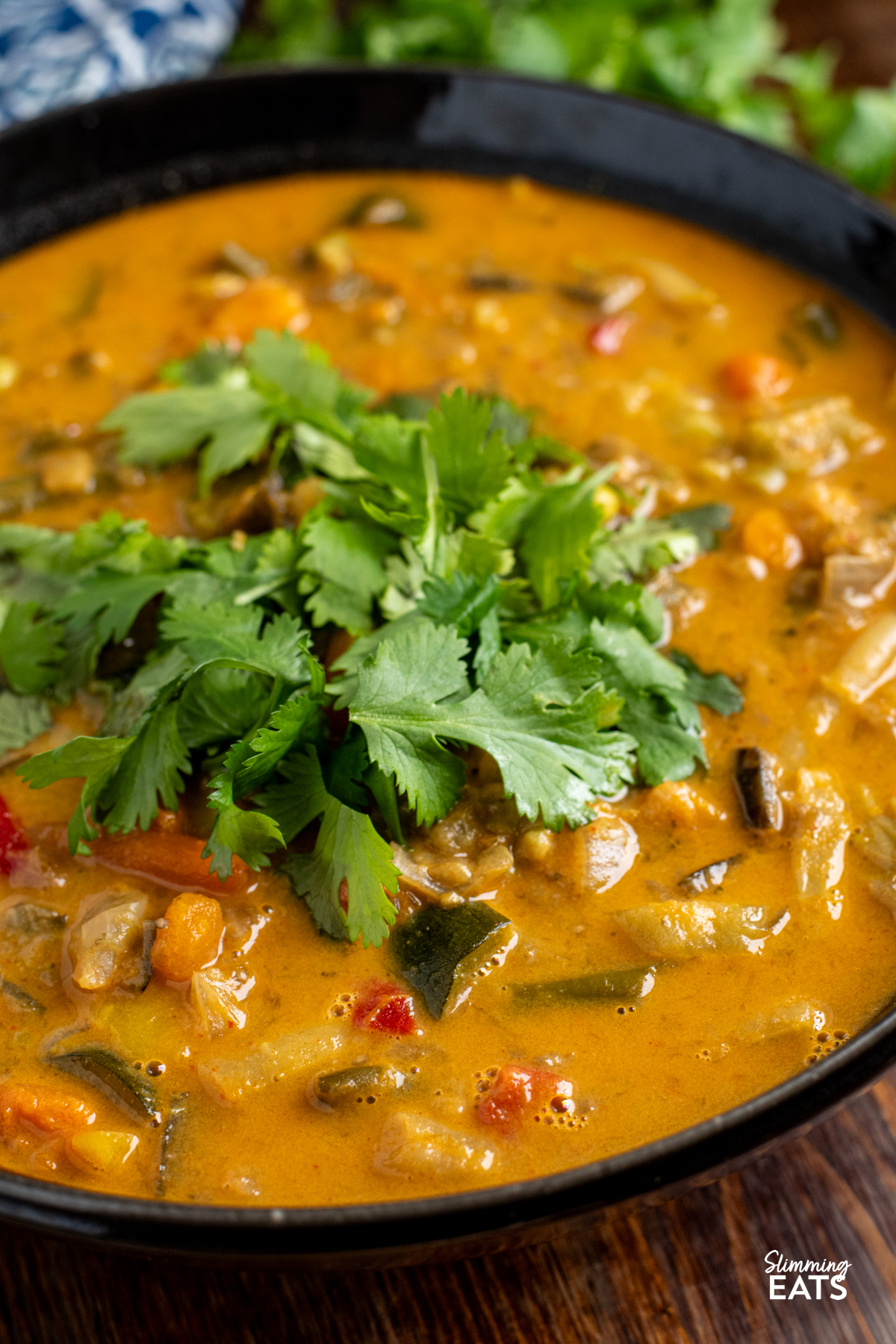 over the top view of Thai Vegetable Soup in a black bowl topped with coriander