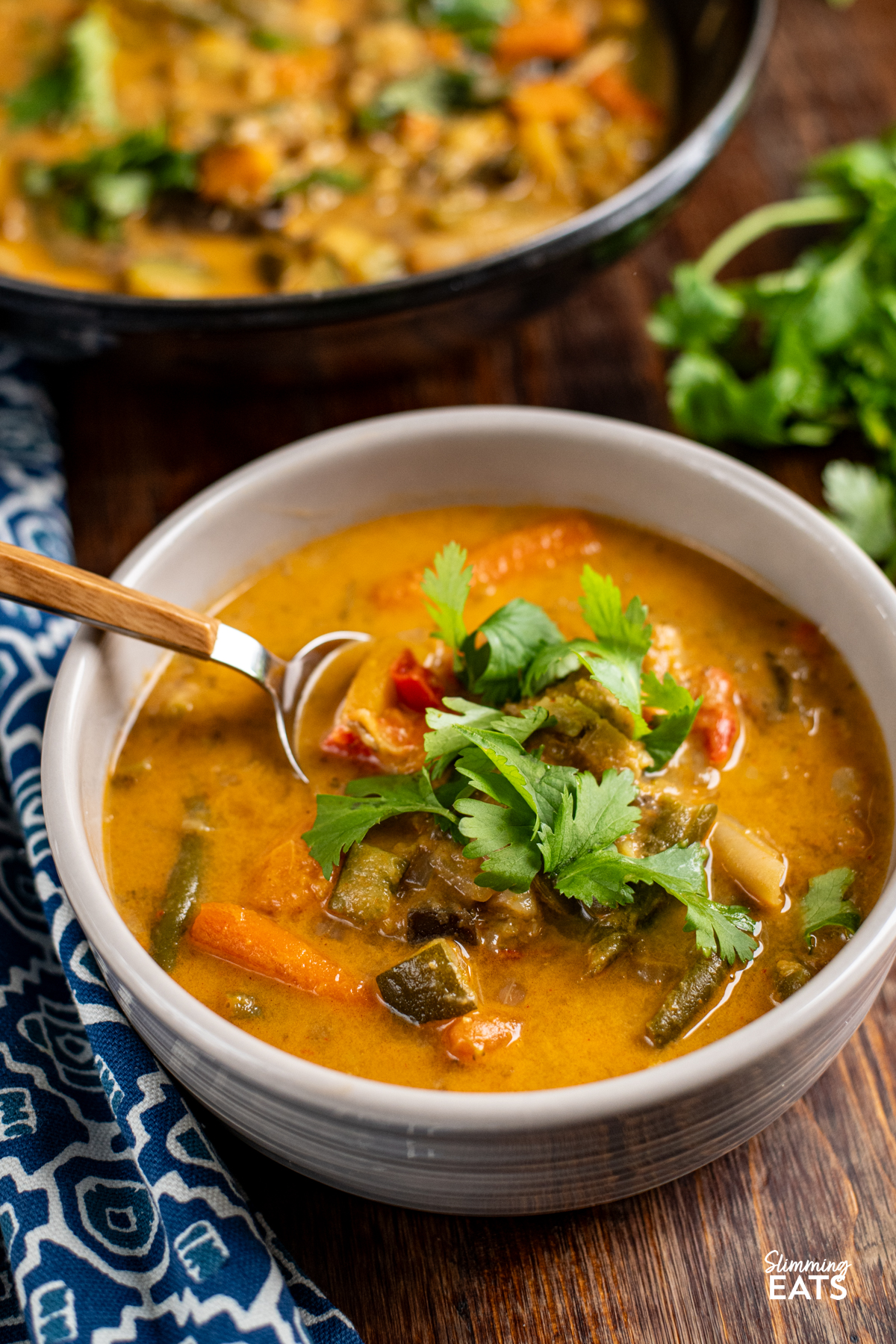 Thai Vegetable Soup topped with coriander in a light grey bowl