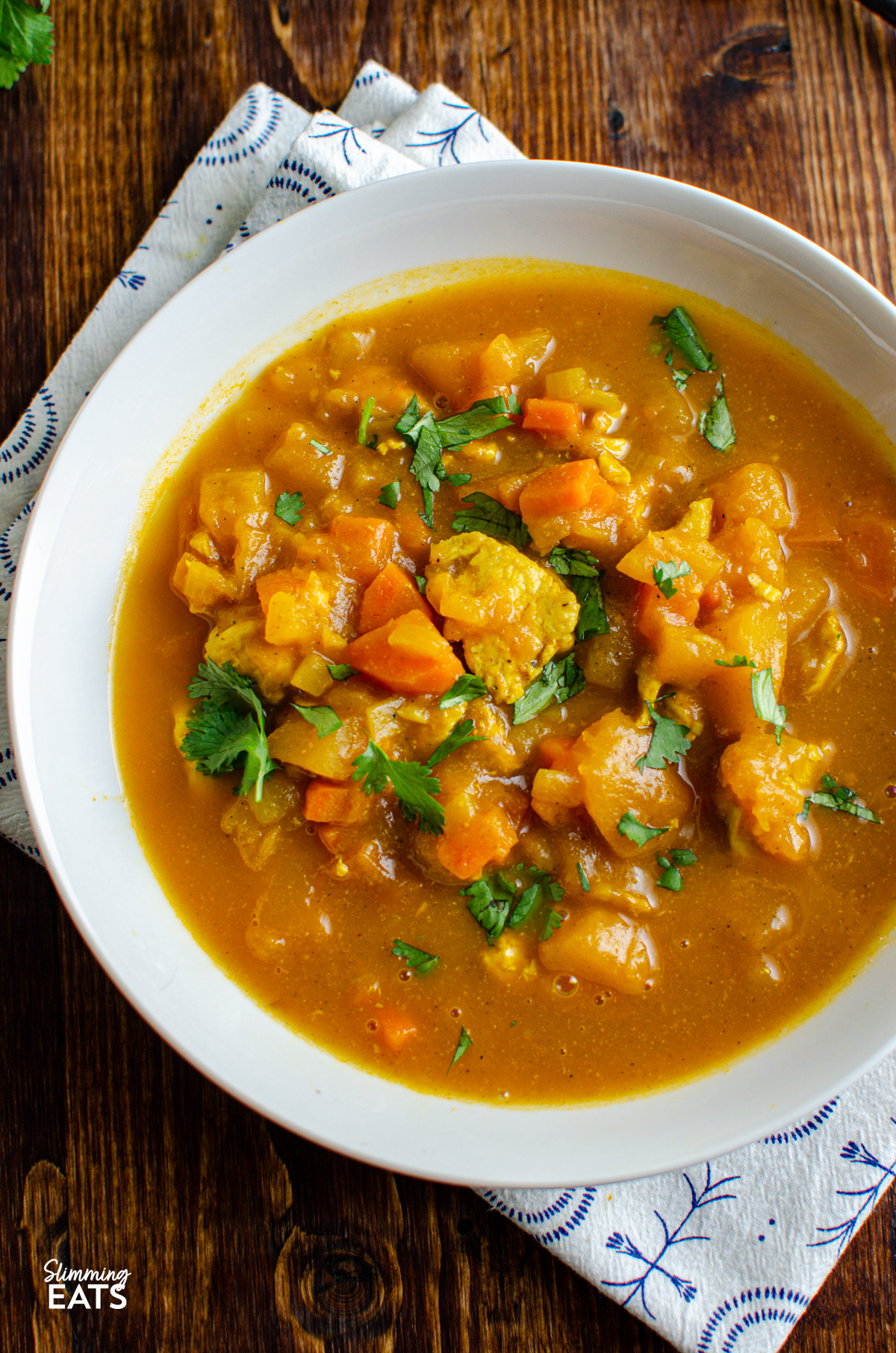 Curried Chicken and Butternut Squash Soup in a white bowl