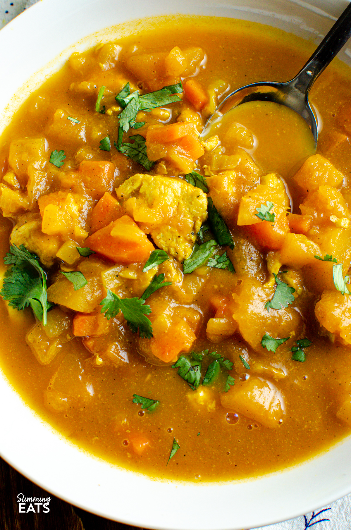close up of Curried Chicken and Butternut Squash Soup in a white bowl