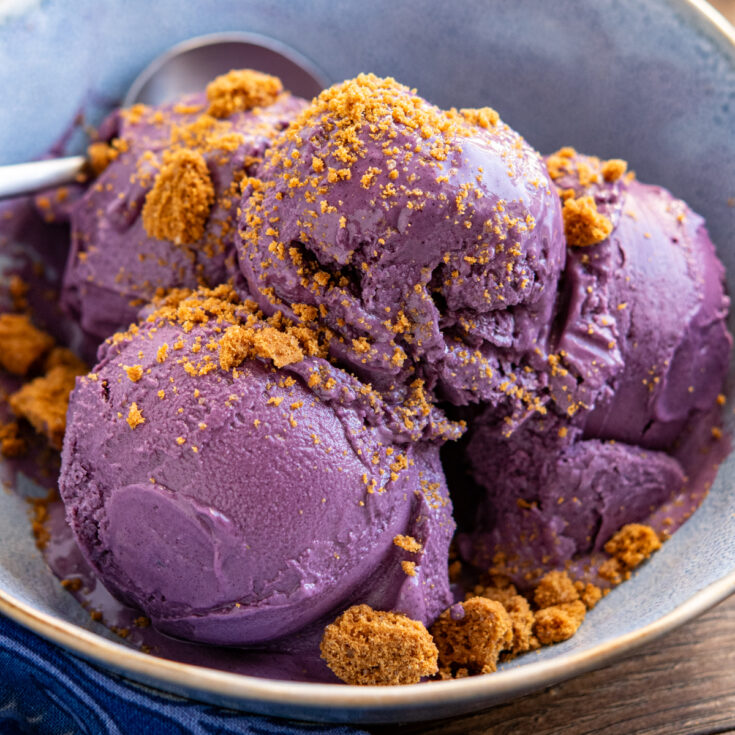 Ninja Creami Blueberry Banana Frozen Yoghurt